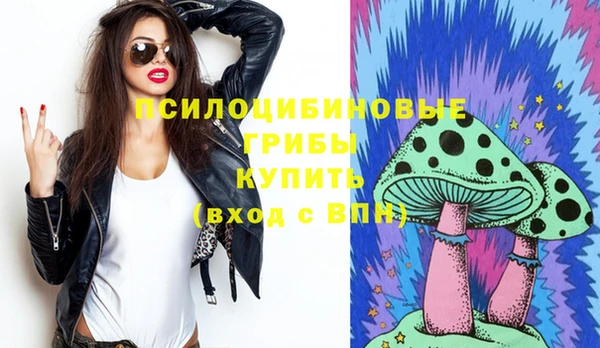 твердый Кодинск